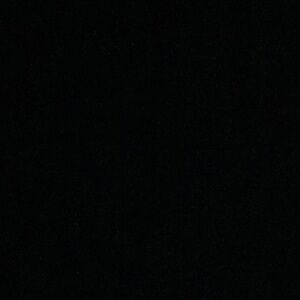 Meet your Posher, Bella